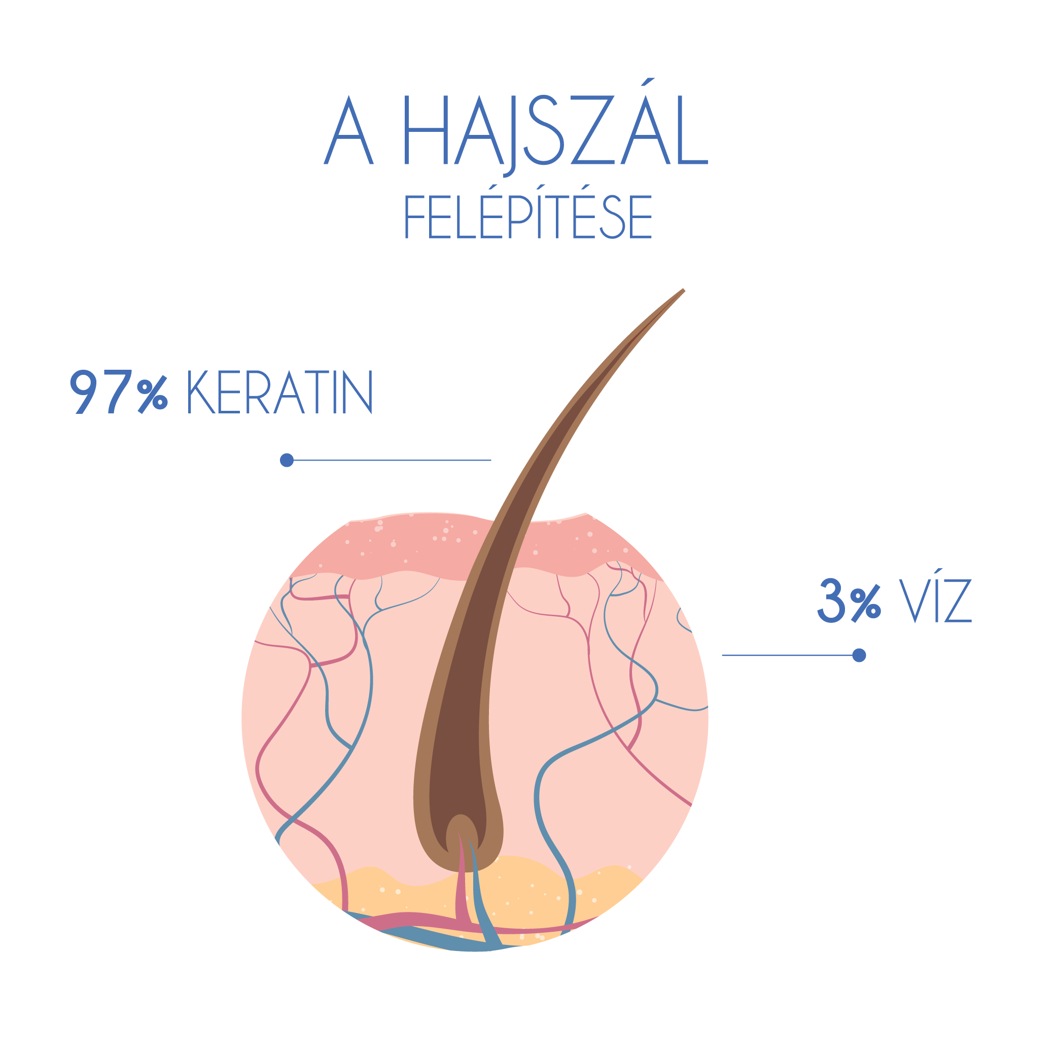 hajszerkezet regenerálás