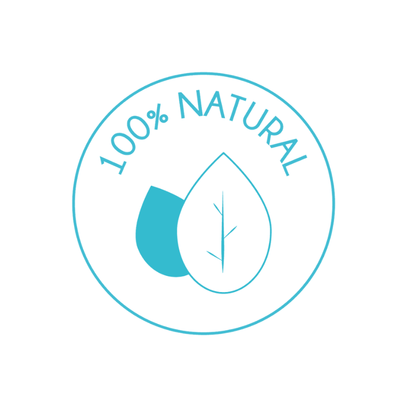 logo ikon 100 natural termeszetes